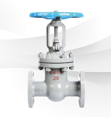 Z41H-16C 铸钢闸阀